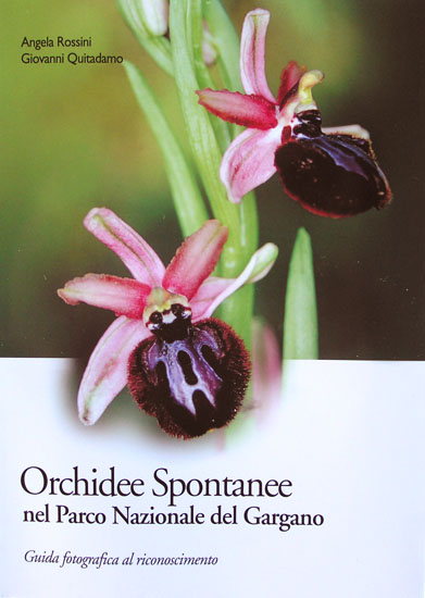 libri: Orchidee spontanee nel parco nazionale del gargano